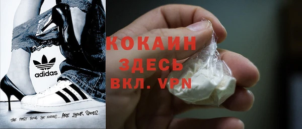 шишки Горно-Алтайск