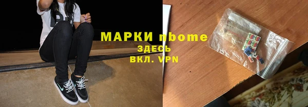 шишки Горно-Алтайск