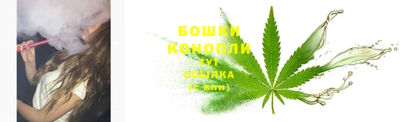 шишки Горно-Алтайск