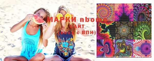 шишки Горно-Алтайск