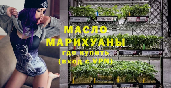 шишки Горно-Алтайск
